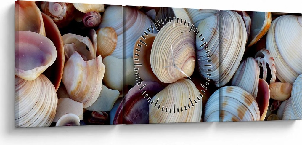Kagyló képe (órával) (90x30 cm)