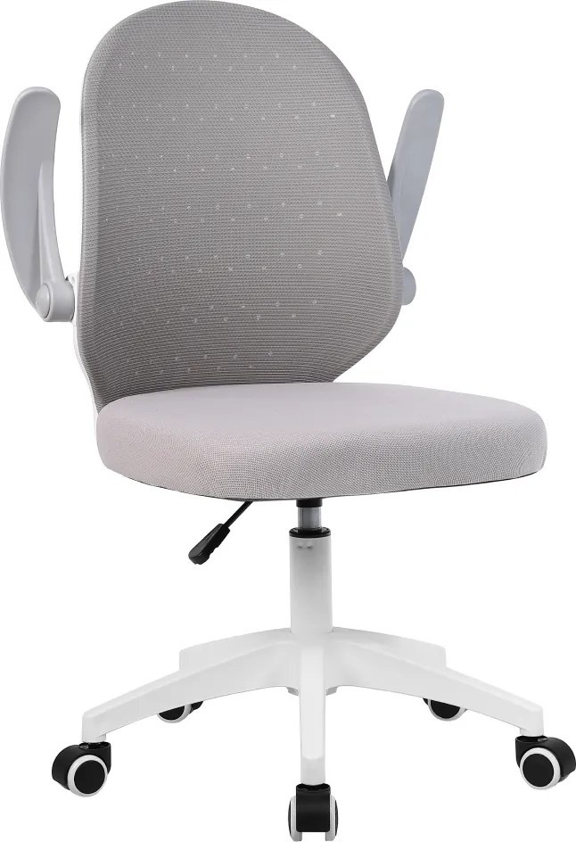 Irodai szék, szürke/fehér, PASTURA