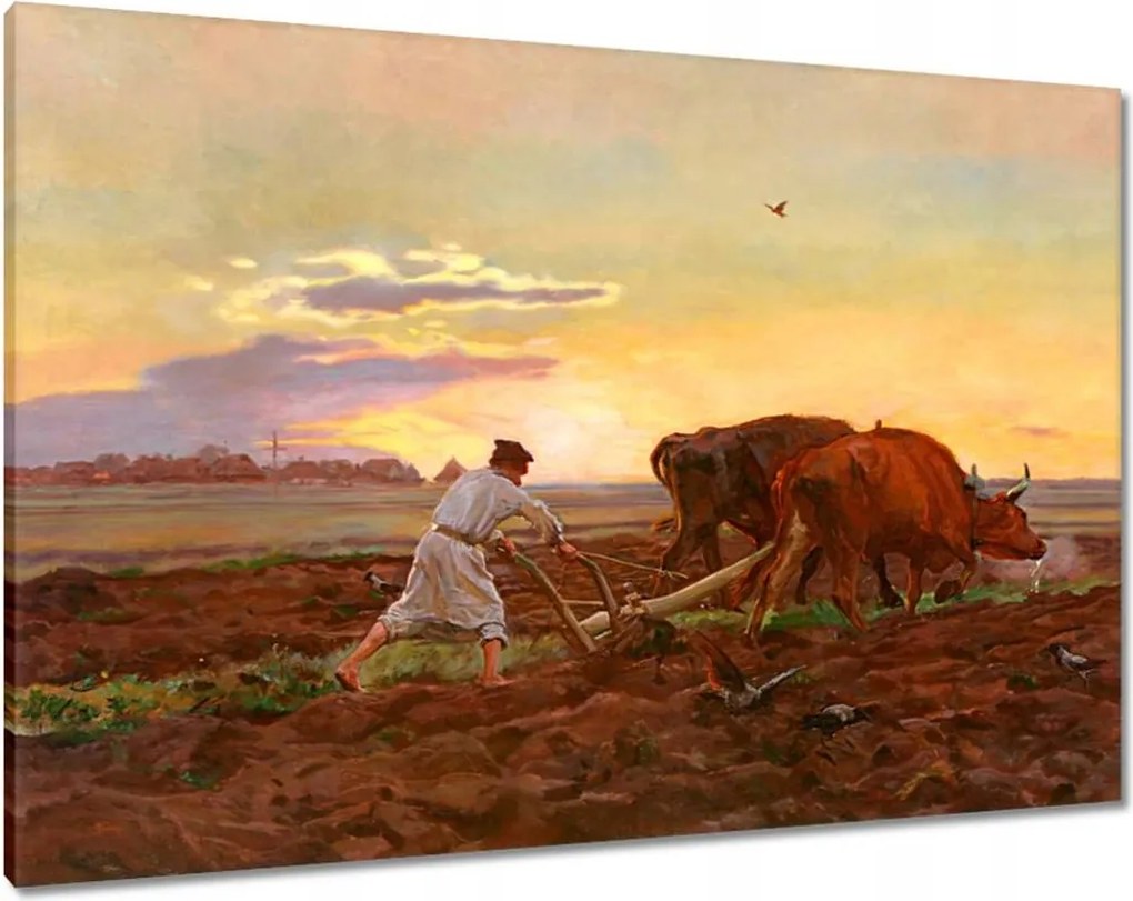 Vászonkép 100x70 Csongrád megyei szántóföld