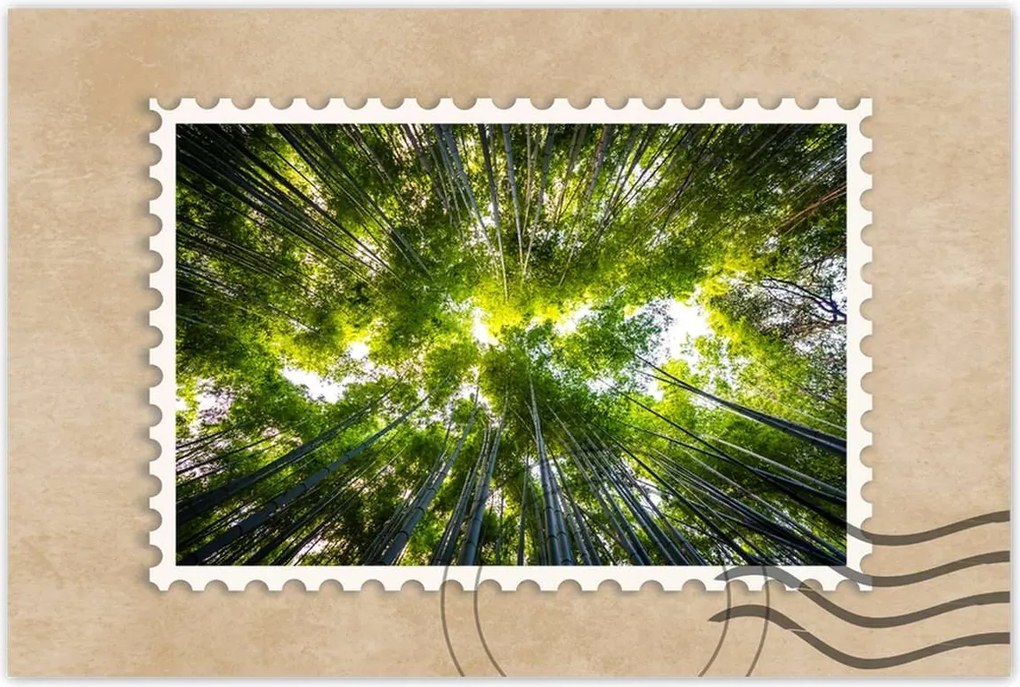 Poszterek 120x80 Bambusz trópusi erdő