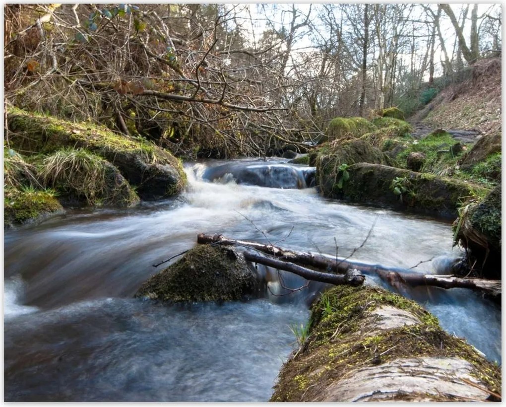 Poszterek 50x40 Okos hegyi folyó