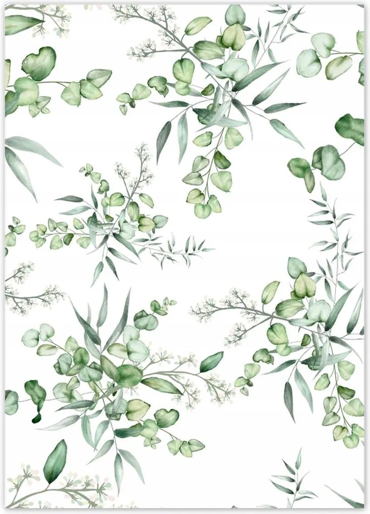 Poszterek 50x70 Eucalyptus Floral virág