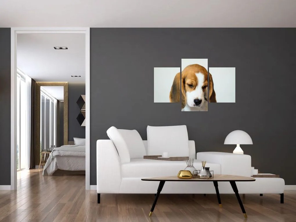 Beagle képe (90x60 cm)