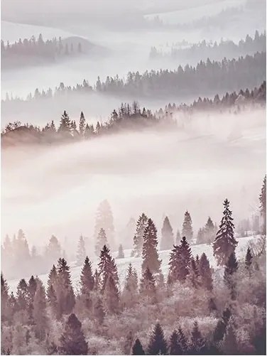 Fotótapéta fák erdő köd hegyek kilátás 184 x 254