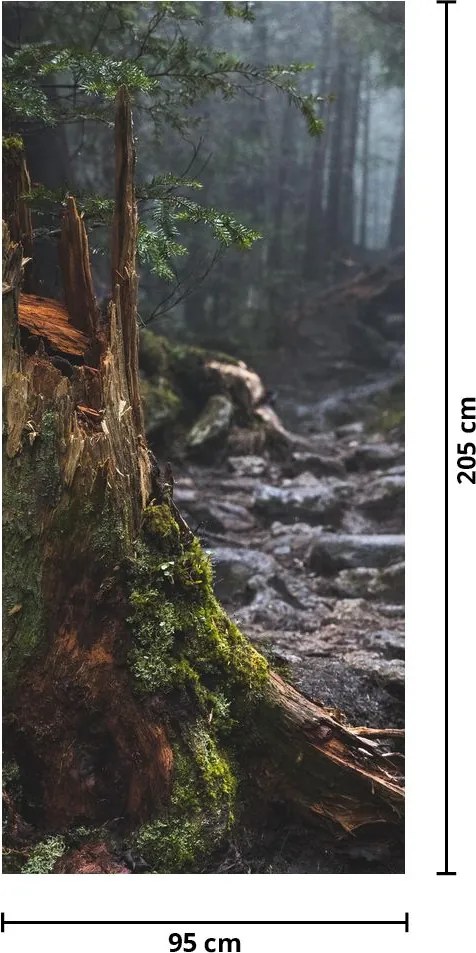 Fotótapéta ajtóra - Az erdőben (95x205cm)