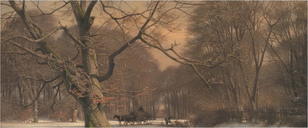 Dekoratív fotótapéta falra Könnyű összeszerelés Téli tájkép 250x104 Ragasztó