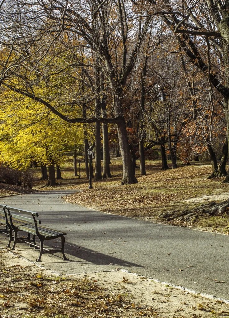 Poszter 20,5x28,4cm Ösvény a Central Parkon át, Assaf Frank