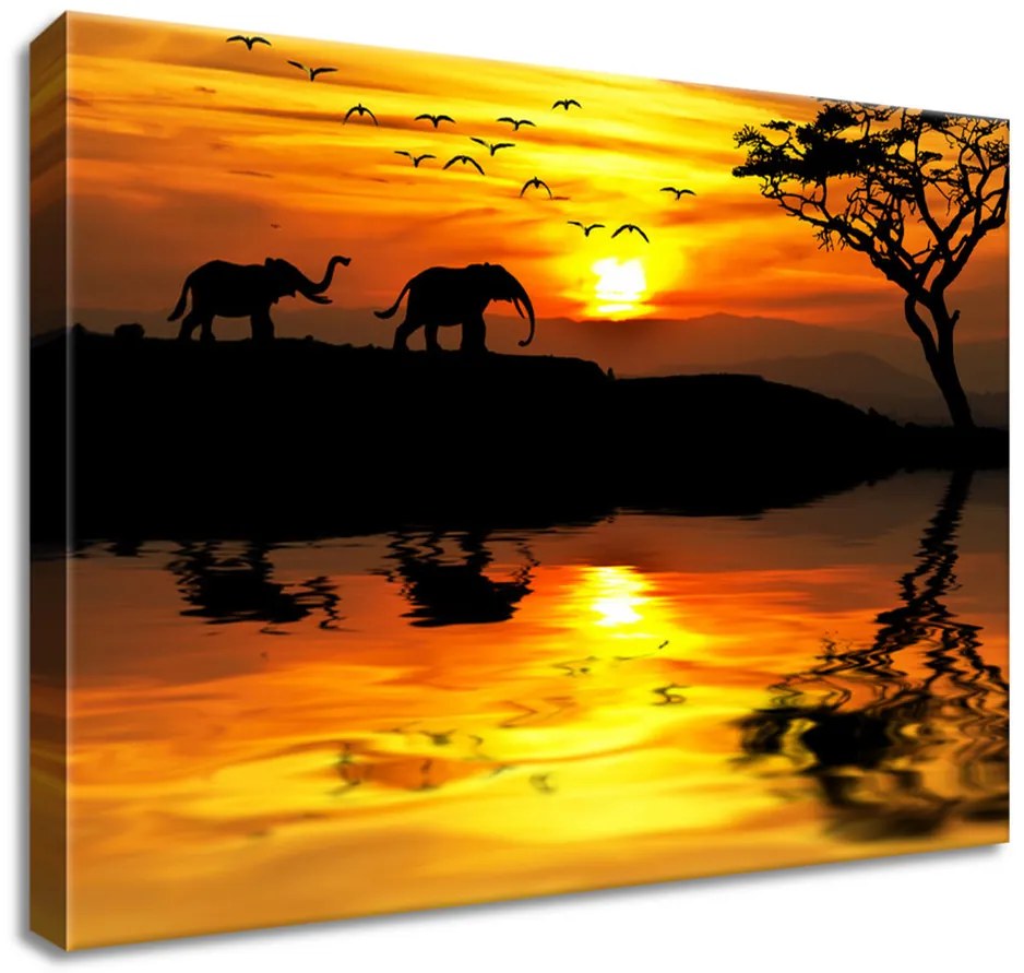 Gario Vászonkép Afrika Méret: 100 x 40 cm