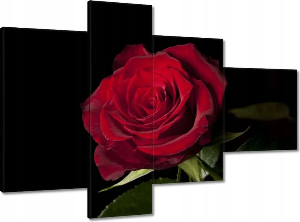 Vászonkép 100x70 Gyönyörű rózsa