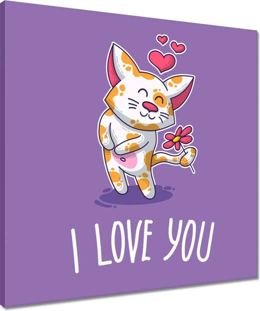 Vászonkép 50x50 Cica