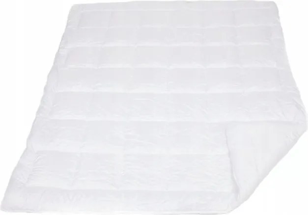 Lengyel Évszakos Antiallergén Paplan 160x200