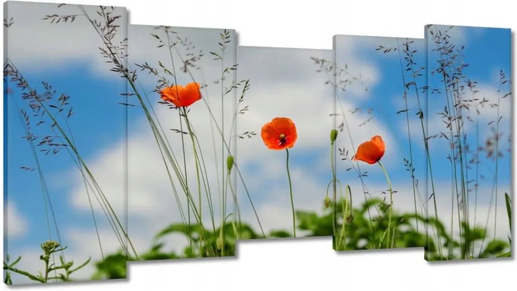 Vászonkép 150x80 Vörös mezei pipacsok