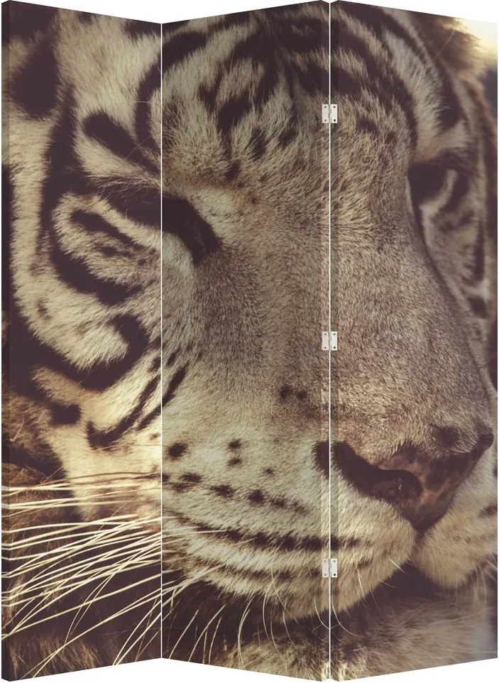 Paraván - Tigris (126x170 cm)