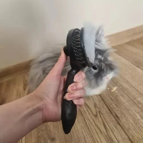 Self-cleaning fur brush