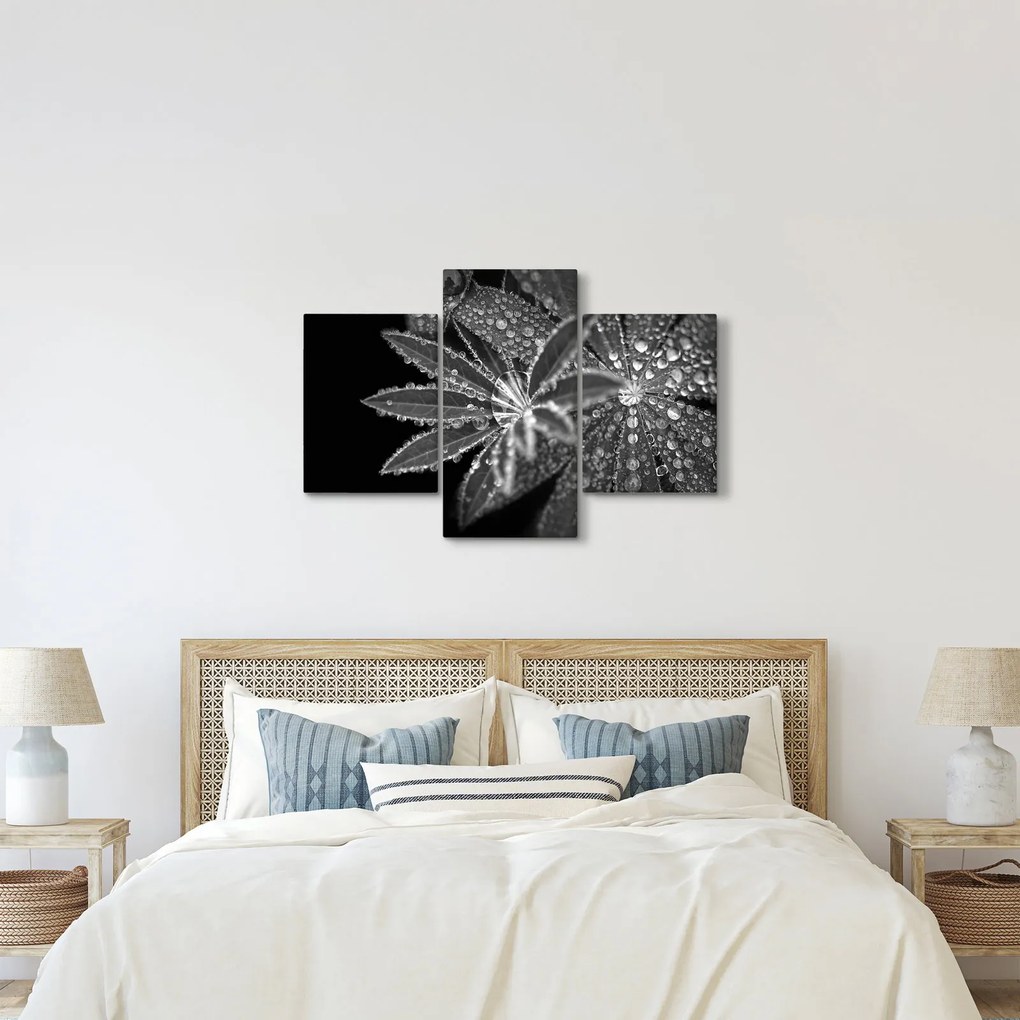 Kép - Levelek cseppekkel (90x60 cm)