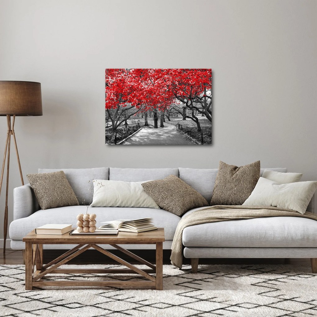 Kép - vörös fák,Central Park, New York (70x50 cm)