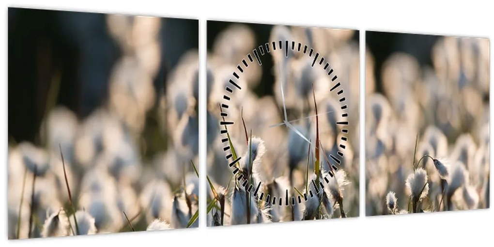 Kép - Keskenylevelű gyapjúsás (órával) (90x30 cm)