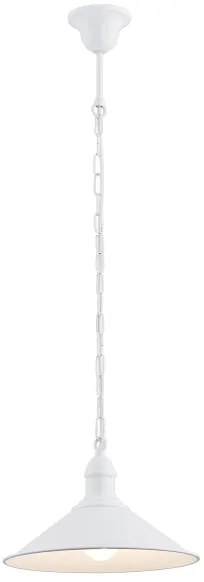 Argon 630 - Csillár láncon ERBA 1xE27/60W/230V