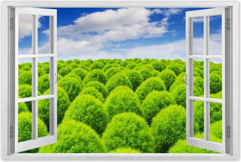 Poszterek 90x60 Zöld tekintet Völgy