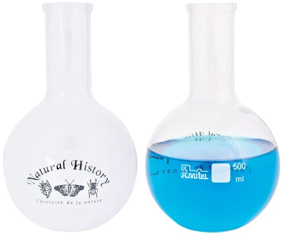 Üveg váza (magasság 23 cm) Natural History – Esschert Design