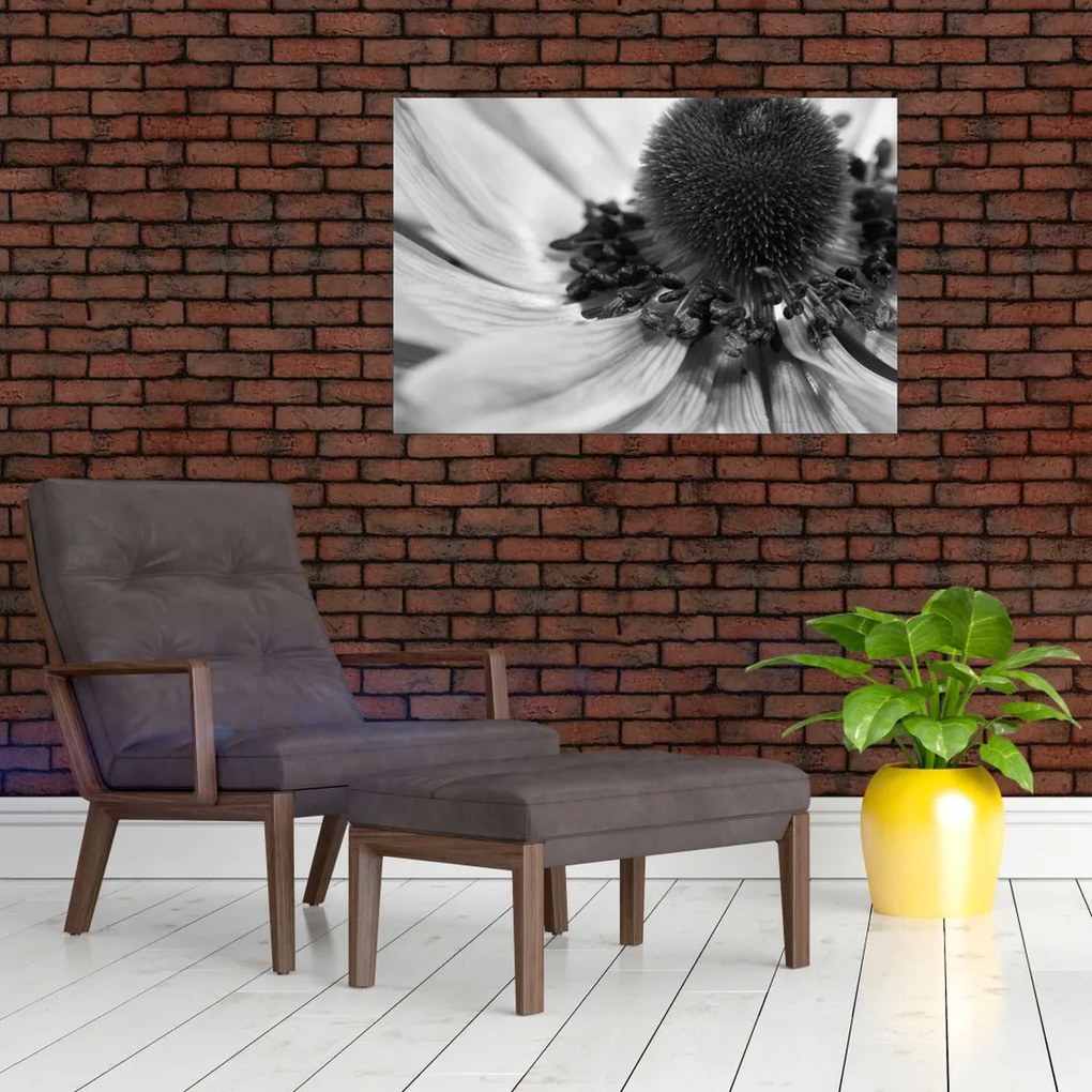 Kép - Virág fekete-fehérben (90x60 cm)