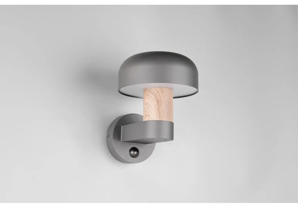 Fali kültéri lámpa (magasság 24,5 cm) Fraser – Trio