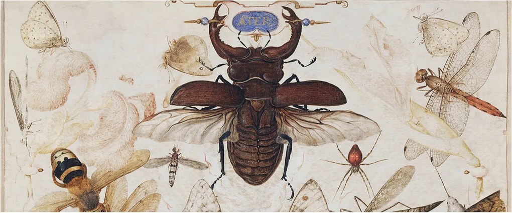 Fali fotótapéta előszoba konyhába Természetes harmónia 250x104 Ragasztó