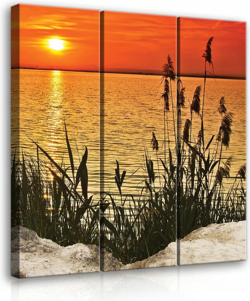 Vászonkép 90x100 Naplemente víztározó nád part nyugalom természet