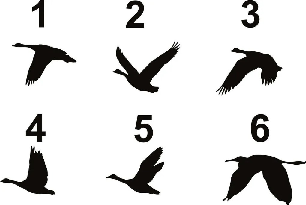 Fém fali dekoráció – Setof6