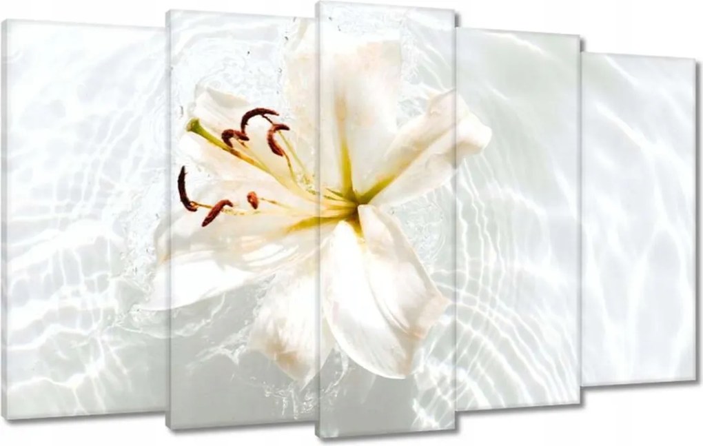 Vászonkép 100x60 Virág a vízen Név