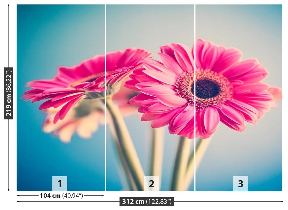Fotótapéta rózsaszín virágok 104x70 cm