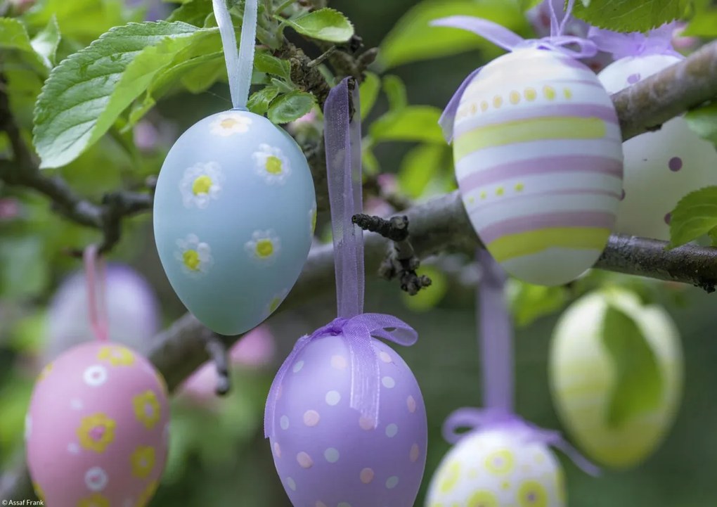 Poszter 29,7x21cm Húsvéti tojások lógnak az ágakon 3, Assaf Frank