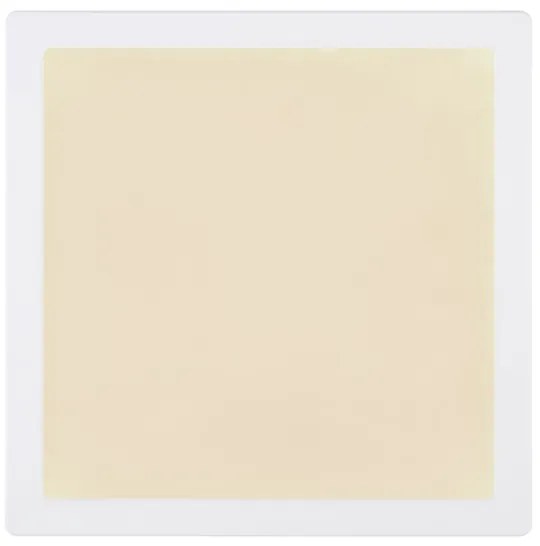 Globo 12380-24W - LED Mennyezeti lámpa LASSE LED/24W/230V 3000/4000/6500K fehér