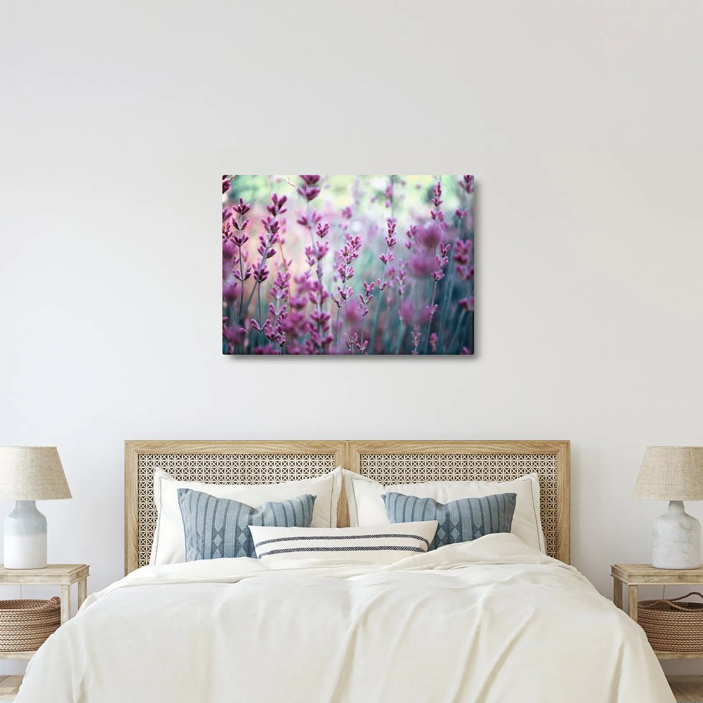 Kép - Levendula (70x50 cm)