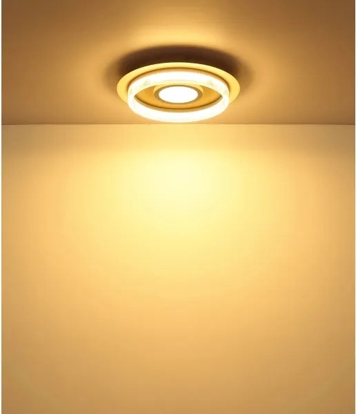 Globo 48046D1 - LED mennyezeti lámpa ZARA LED/24W/230V 3000K átm. 40 cm