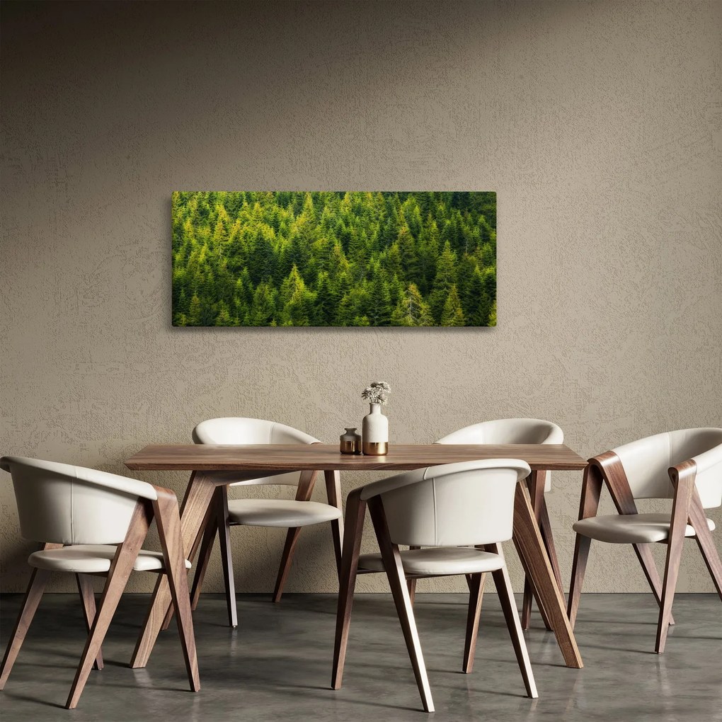 Kép - sűrű erdő (120x50 cm)