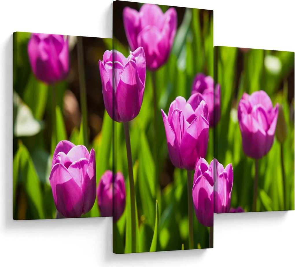 Tulipánok a réten képe (90x60 cm)