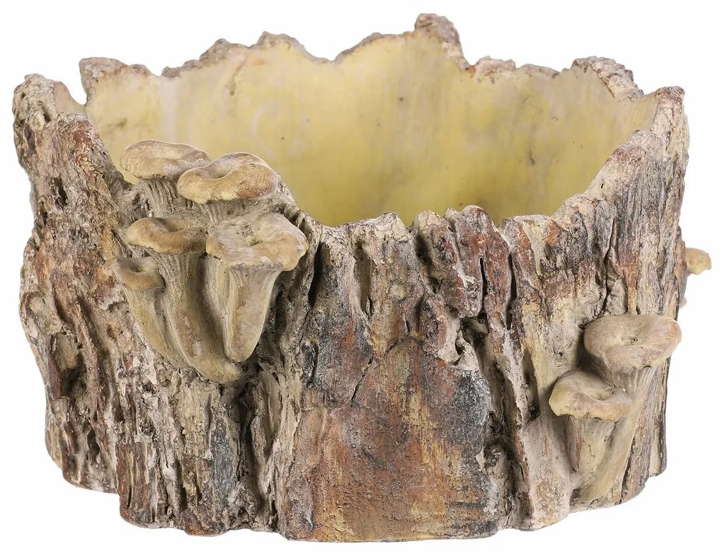 Beton burkolat - tusk with mushrooms, 32 x 29 x 16cm