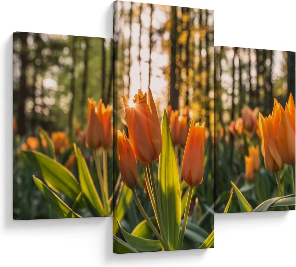 Kép - tulipánok (90x60 cm)