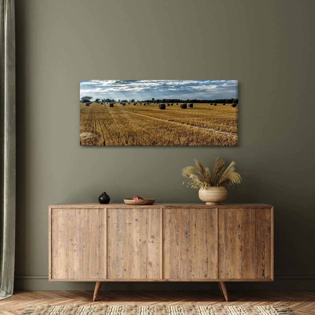 Betakarított gabona mező képe (120x50 cm)