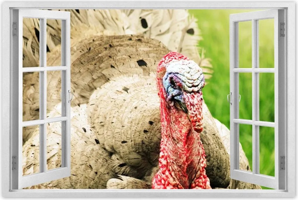 Poszterek 90x60 Pulyka ünnep Usa