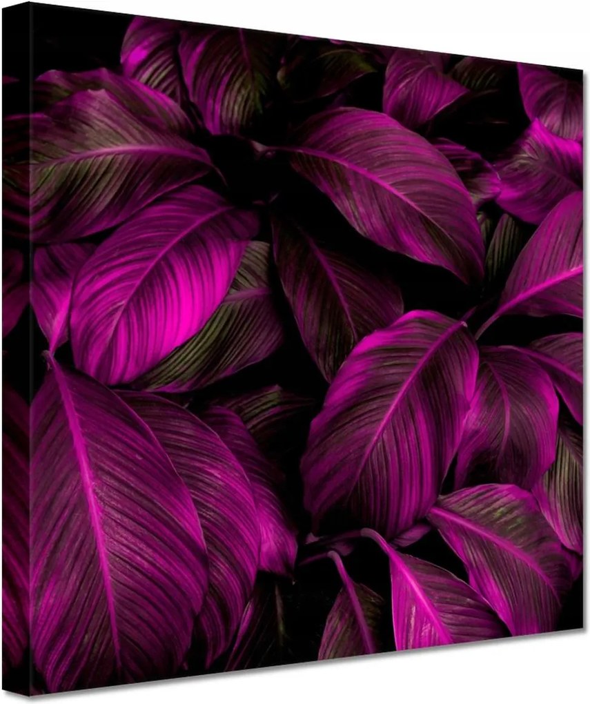 Vászonkép 20x20 Gyönyörű fukszia levelek