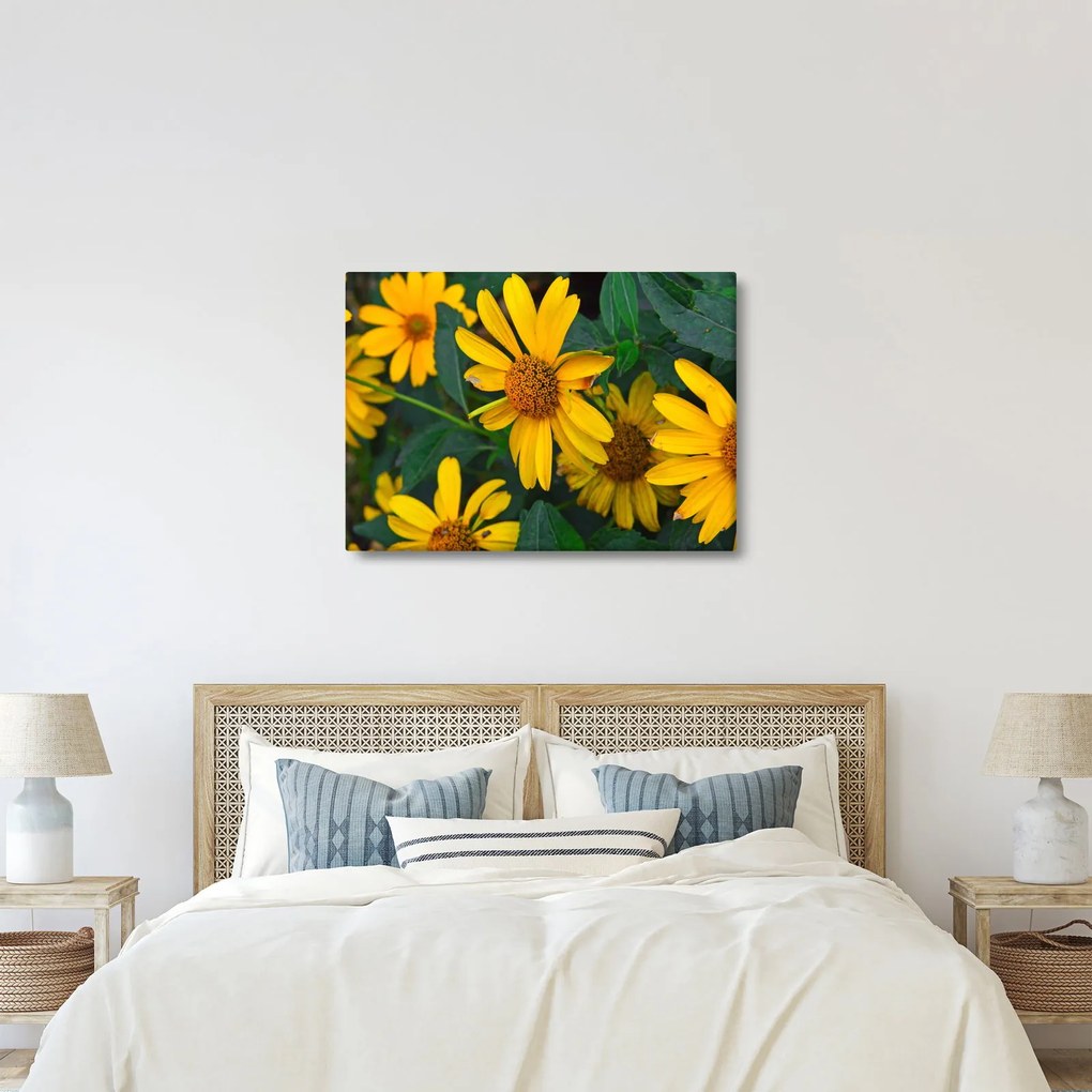 Sárga virágok képe (70x50 cm)