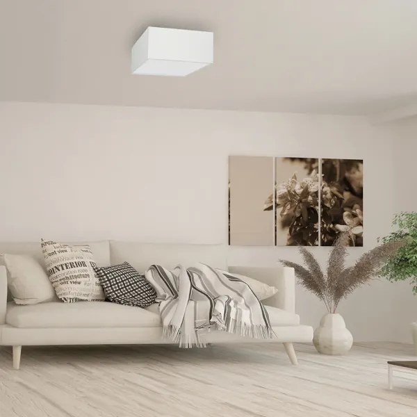 Mennyezeti lámpa ALBION 2xE27/60W/230V