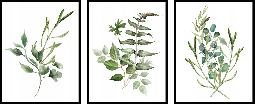 Triptichon poszter szett virágok levelek növények grafika botanika 3x- 15x21cm