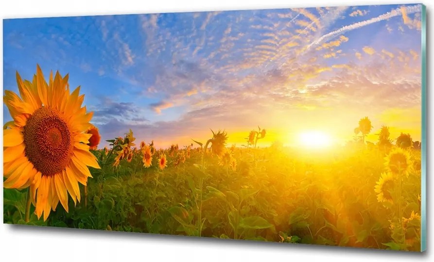 Fotó kép edzett üveg Naplemente 100x70