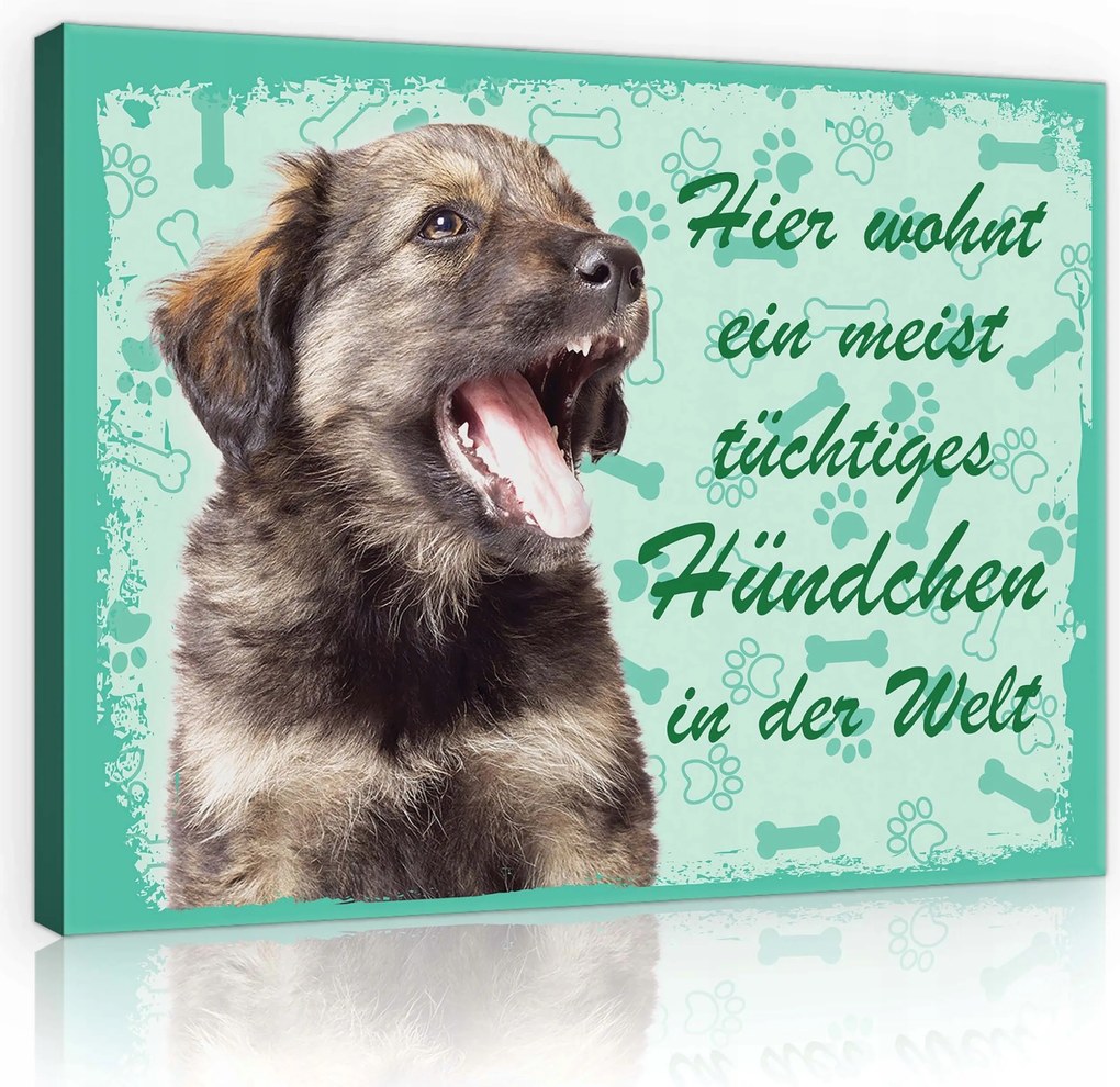 Vászonkép 100x75 Kiskutya kutyus aranyos vicces kisállat csont mancsnyomok