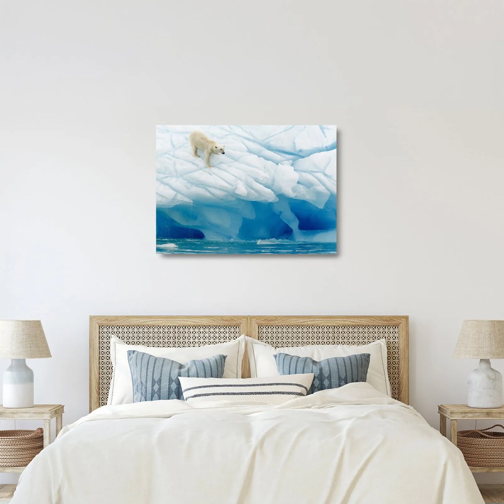 Üveg kép - Jegesmedve (70x50 cm)