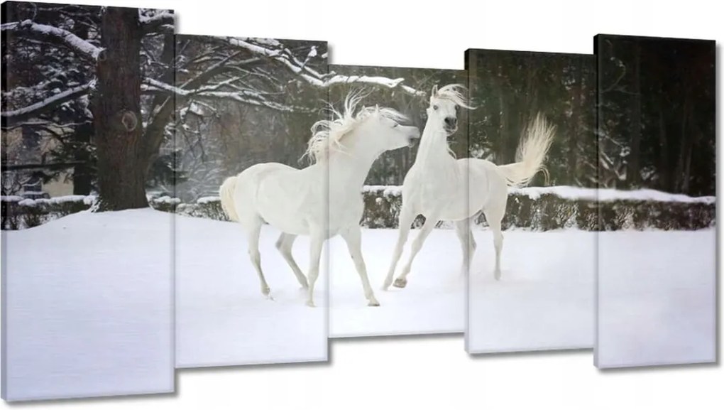 Vászonkép 150x80 Ló Lovak Lovaglás