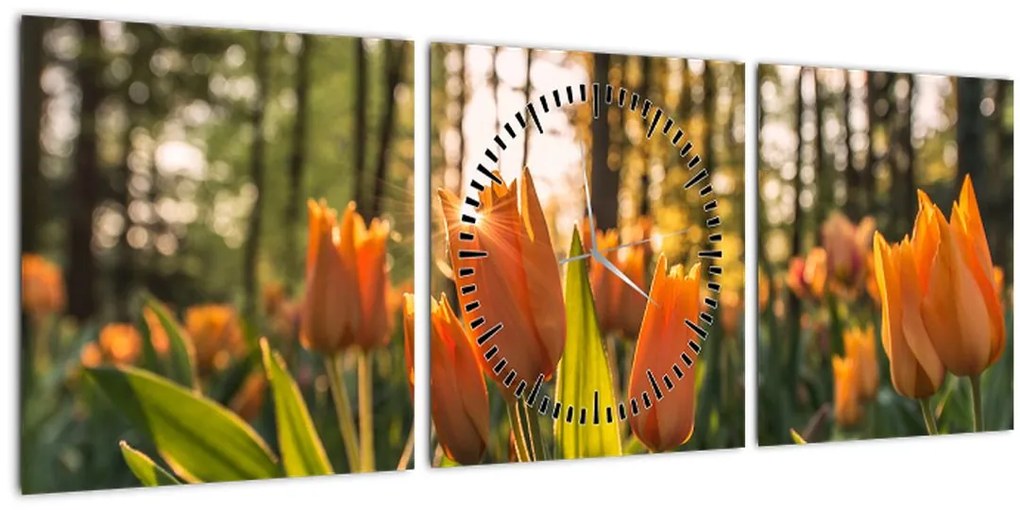 Narancssárga tulipán képe (órával) (90x30 cm)